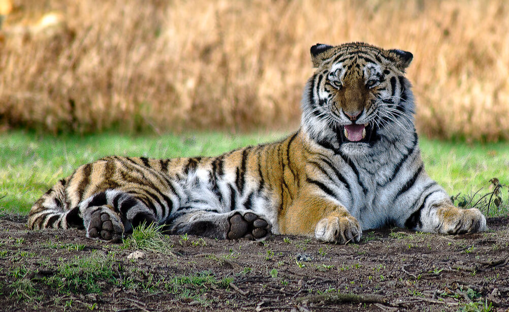 Ashby Photographic Group Facebook